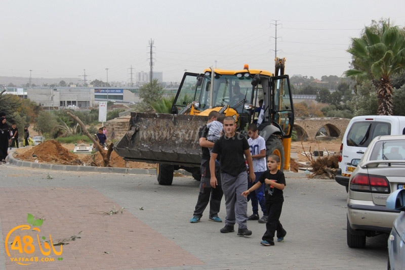 tasoooi3i1412 (53).JPG